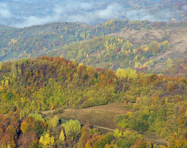 Manhã de outono, as montanhas dos Cárpatos acalmam a cena pitoresca Ucrânia Viajando tranquilamente natureza sazonal e cena do conceito de beleza rural