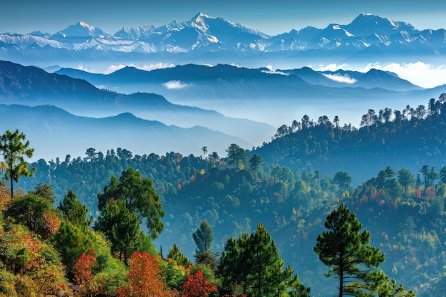 Foto manhã de outono em kausani suíça da índia vista do himalaia