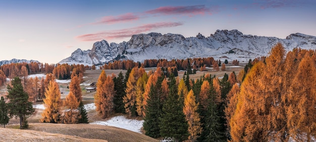 Manhã de outono na montanha, paisagem com picos nevados e árvores brilhantes