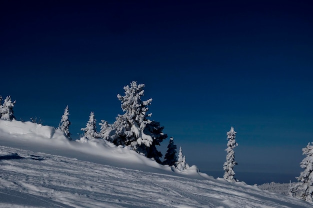 Manhã ensolarada de inverno nas montanhas de sheregesh no ski trackx9