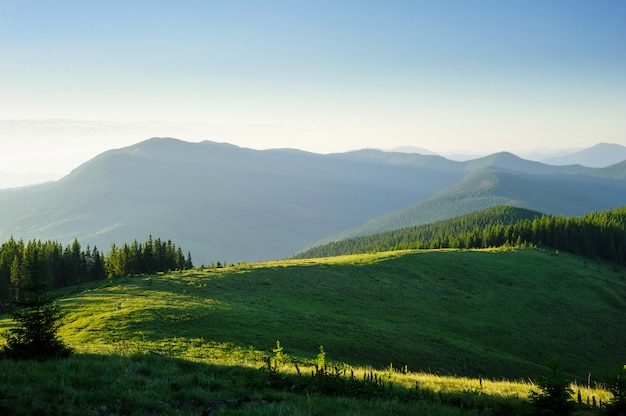 Manhã nas montanhas