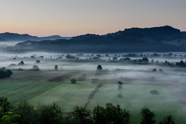 Manhã nevoenta sobre o landsacpe rural da zona rural. Parcela agrícola.