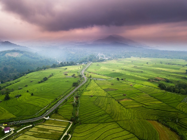 manhã nublada em arrozais com montanha no norte de bengkulu, Indonésia