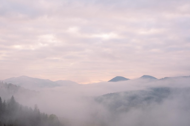 Manhã nublada nas montanhas dos Cárpatos no outono Névoa branca sobre a cordilheira sonhadora coberta de floresta verde