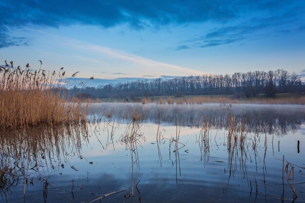 Manhã nublada no lago