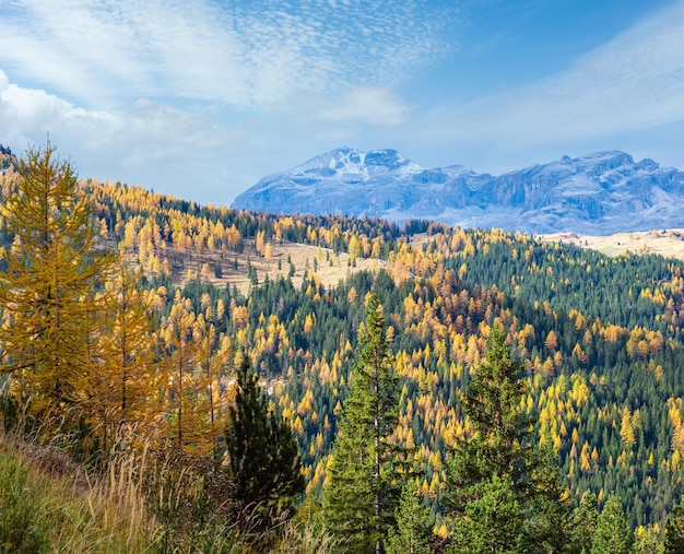 Manhã nublada, outono alpino, cena de montanha Dolomitas Vista pacífica perto de Valparola Pass Belluno Itália