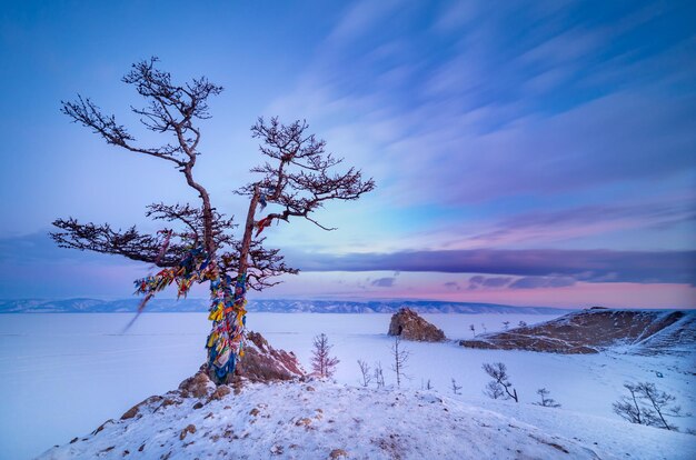 Foto manhã sobre inversão ii shamanka - rússia