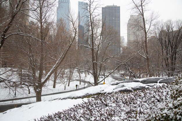 Manhattan NY ESTADOS UNIDOS 31 de enero de 2017 nevando mucho en Central Park