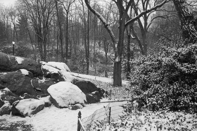 Manhattan NY USA 31. Januar 2017 Schneit viel im Central Park