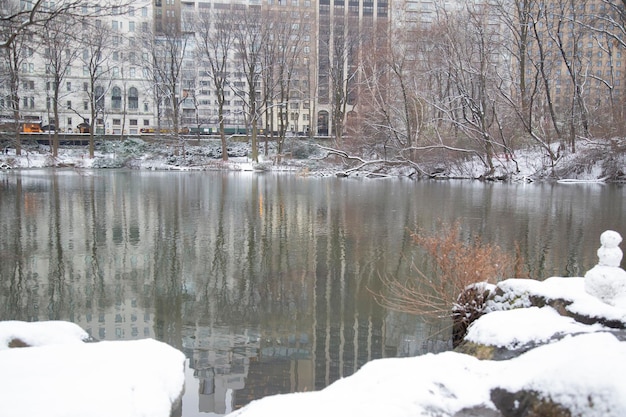 Manhattan NY USA 31. Januar 2017 Schneit viel im Central Park