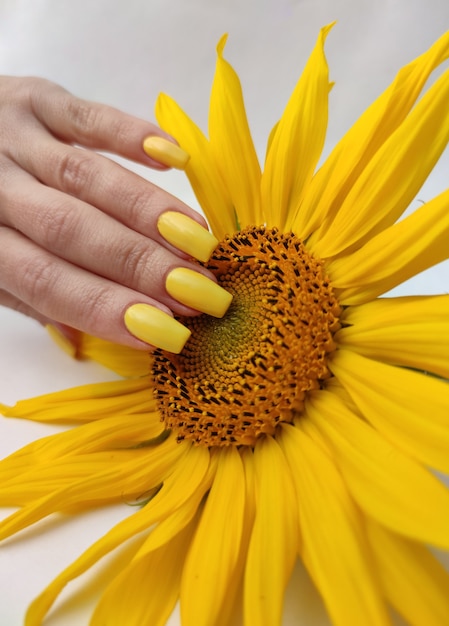 Manicura amarilla con girasol.