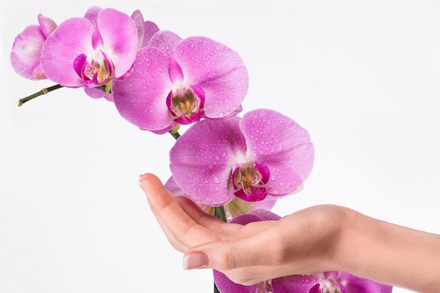 Manicura francesa y flor de orquídea