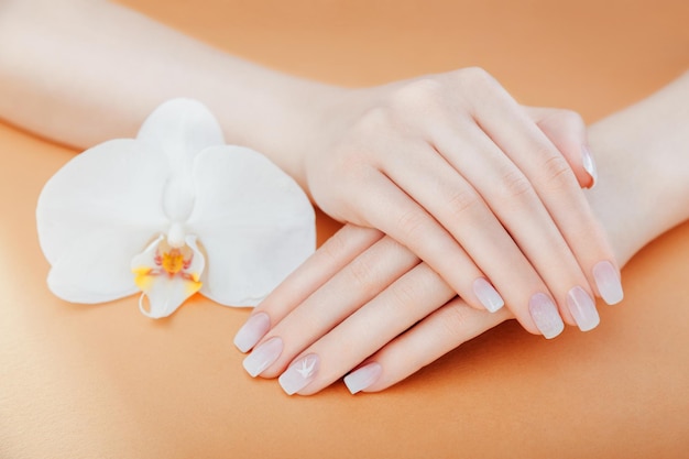 Manicura francesa Ombre con orquídea sobre fondo naranja Manos femeninas Diseño de arte de uñas