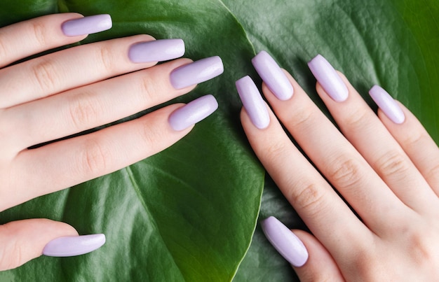 Manicure feminina violeta suave com folha de monstera