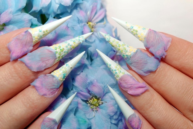 Foto manicure francesa longa e afiada com adesivos de flores e pétalas de flores naturais