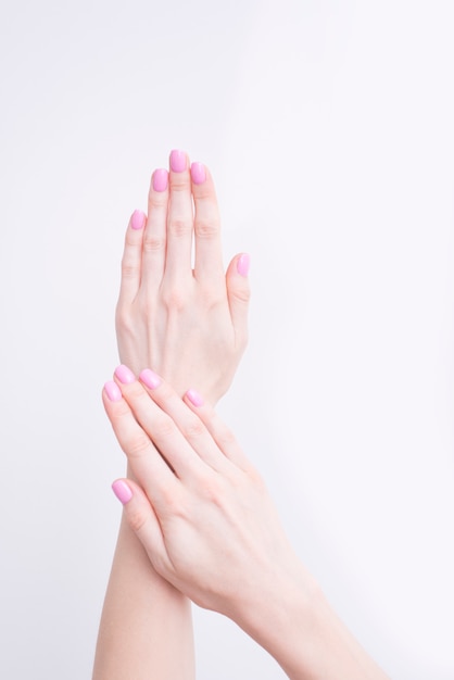 Manicure rosa suave. Mãos femininas em branco