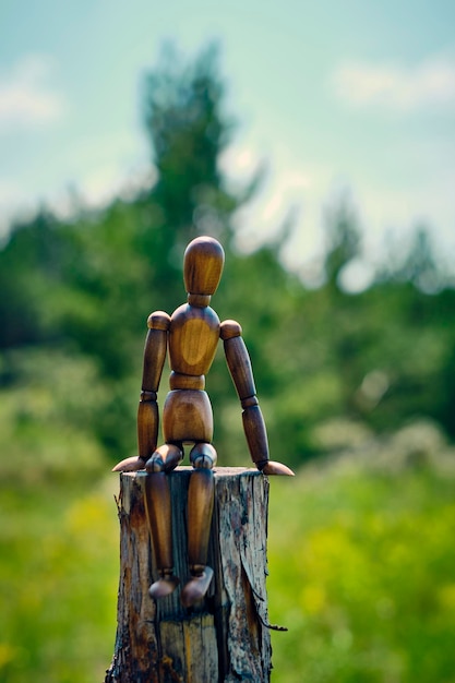 El maniquí marrón de madera se sienta en un tocón contra la hierba verde de fondo