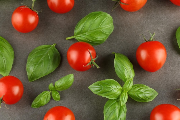 Manjericão e tomate cereja Tomate e folhas de manjericão