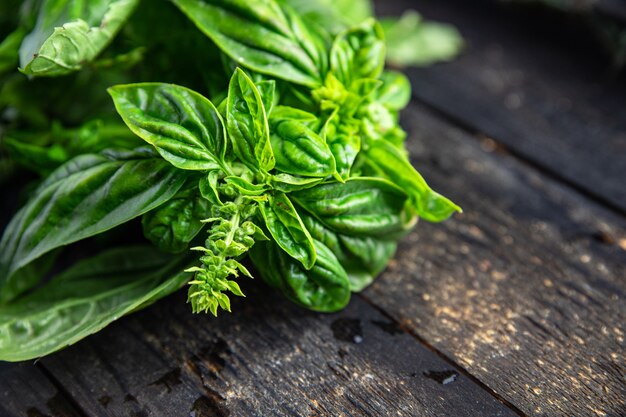 Manjericão erva fresca pétalas verdes suculentas temperando refeição crua fresca lanche na mesa cópia espaço comida