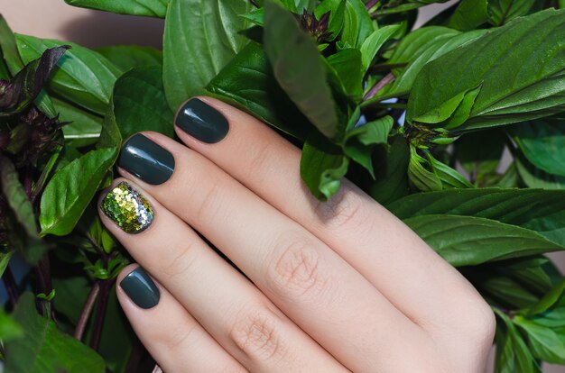 Manjericão na mão feminina com linda manicure verde escuro