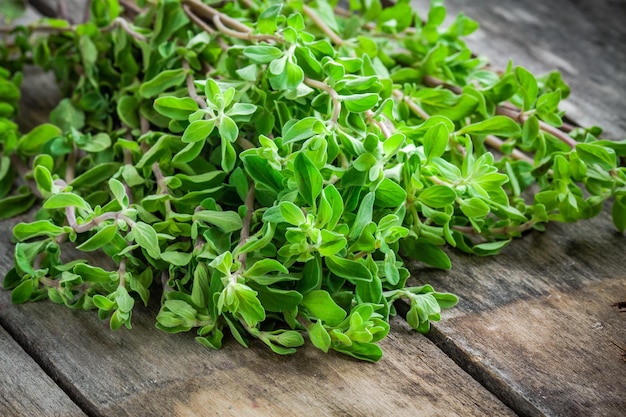 Manjerona de erva verde crua fresca em uma mesa rústica de madeira