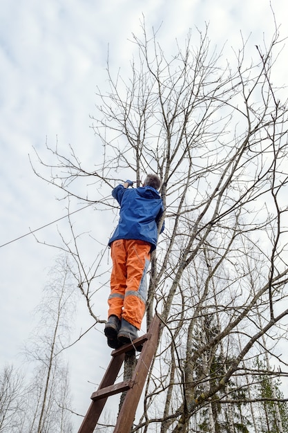 Mann auf einer Leiter, der Äste von einem Baum sägt