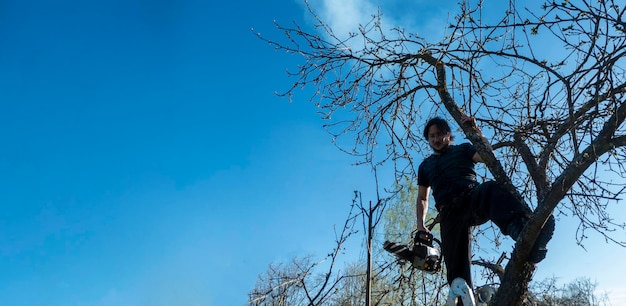 Mann beschneidet oder sägt Apfelbaum mit Kettensägenbauer, der die trockenen Äste von Apfelbäumen sät