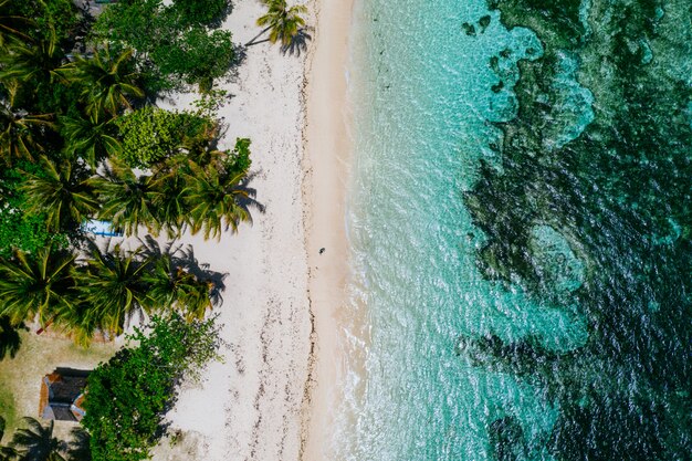 Mann, der am Strand steht und den tropischen Platz mit Aussicht genießt. karibische Meeresfarben und Palmen. Konzept über Reisen und Lebensstil