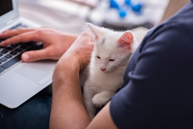 Mann, der an Laptop arbeitet und Katze spielt