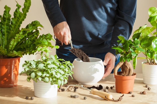 Mann, der Blumen zu Hause überzieht