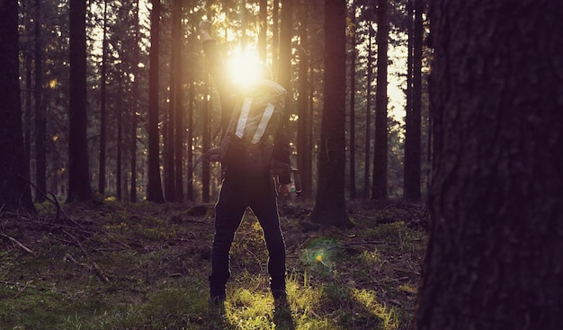 Mann, der den Wald bei Sonnenuntergang genießt, erhob die Hände Reise-Lifestyle- und Erfolgskonzept