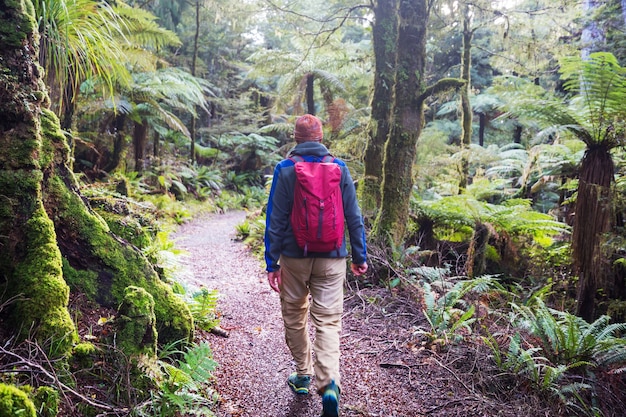 Mann, der den Weg im Wald wandert. Naturfreizeitwanderung im Freien