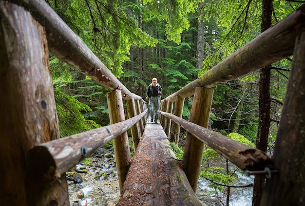 Mann, der den Weg im Wald wandert. Naturfreizeitwanderung im Freien