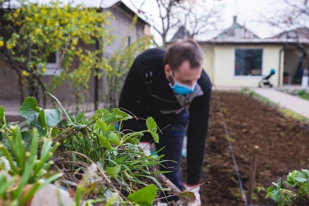 Mann, der im Garten arbeitet junger Mann, der Blumen in Maske pflanzt