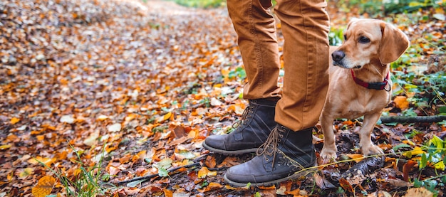 Mann, der im Herbstwald mit Hund wandert