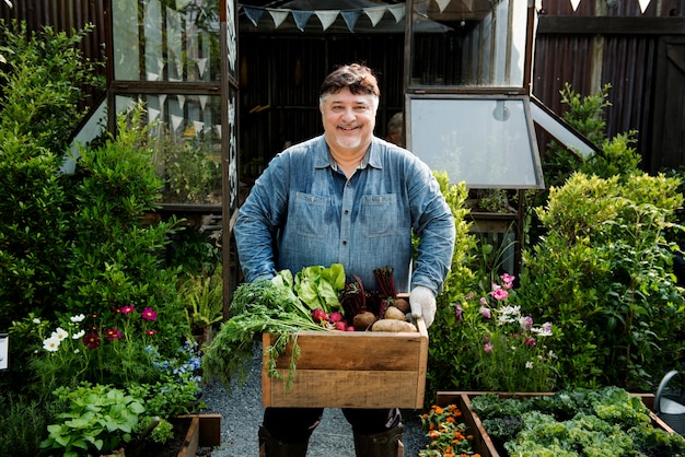 Mann, der Kiste frische landwirtschaftliche Produkte hält