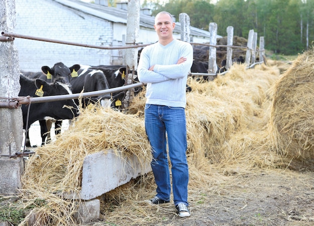 Mann, der Kühe auf einer Farm im Freien füttert