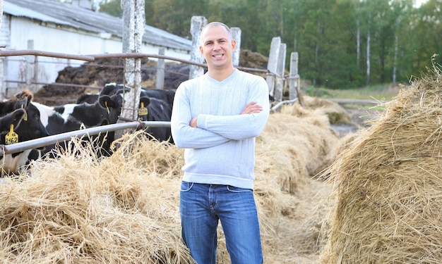 Mann, der Kühe auf einer Farm im Freien füttert