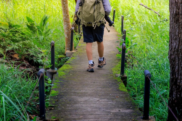 Foto mann geht im wald spazieren und wandert im grünen tropischen dschungel