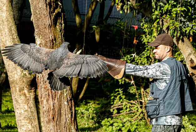 Mann hält einen Adler mit schwarzer Brust