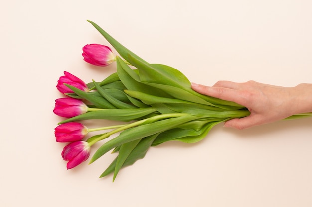 Mann hält mit der Hand einen Strauß zarter frischer roter Tulpen mit grünen Blättern auf einem pastellrosa Hintergrund