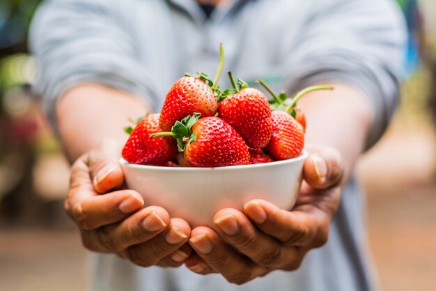 Mann hält reife Erdbeeren in der Schüssel