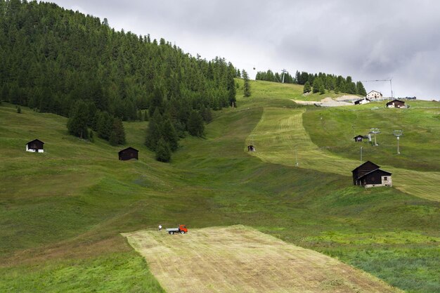 Mann harkt Heu mit LKW am steilen Hang Livigno Italien