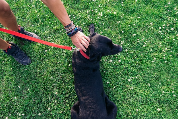 Mann hat Spaß und spielt mit seinem Hund im Park.