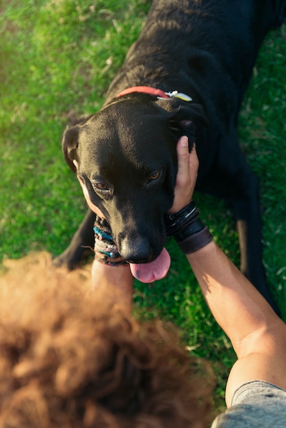 Mann hat Spaß und spielt mit seinem Hund im Park.