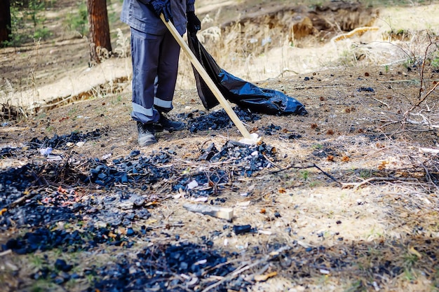 Mann im Overall sammelt Müll und Abfall im Wald Ökologisches Problem der Verschmutzung der Natur