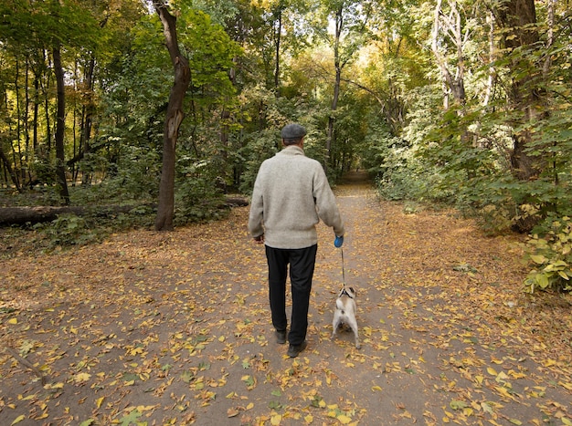 mann im park hund mops