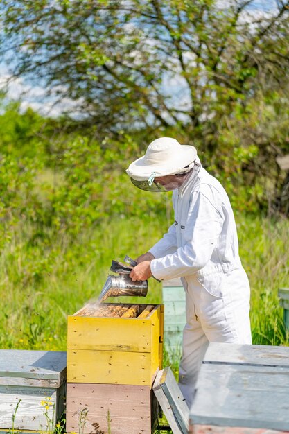 Mann im Schutzanzug in der Bienenfarm. Schöner Imker, der mit Bienenstöcken arbeitet.