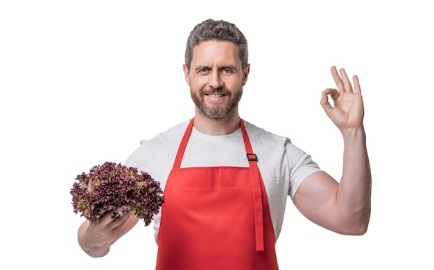 Mann in Schürze mit Salatgemüse zeigt ok Geste isoliert auf weiß