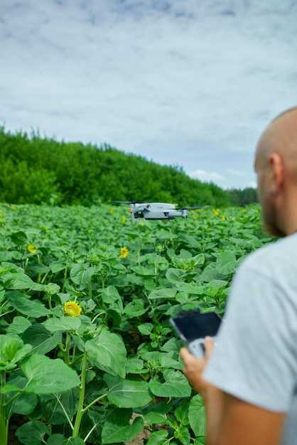 Mann lernt, wie man seine Drohne steuert, indem er eine fliegende Drohne auf einem Sonnenblumenfeld steuert